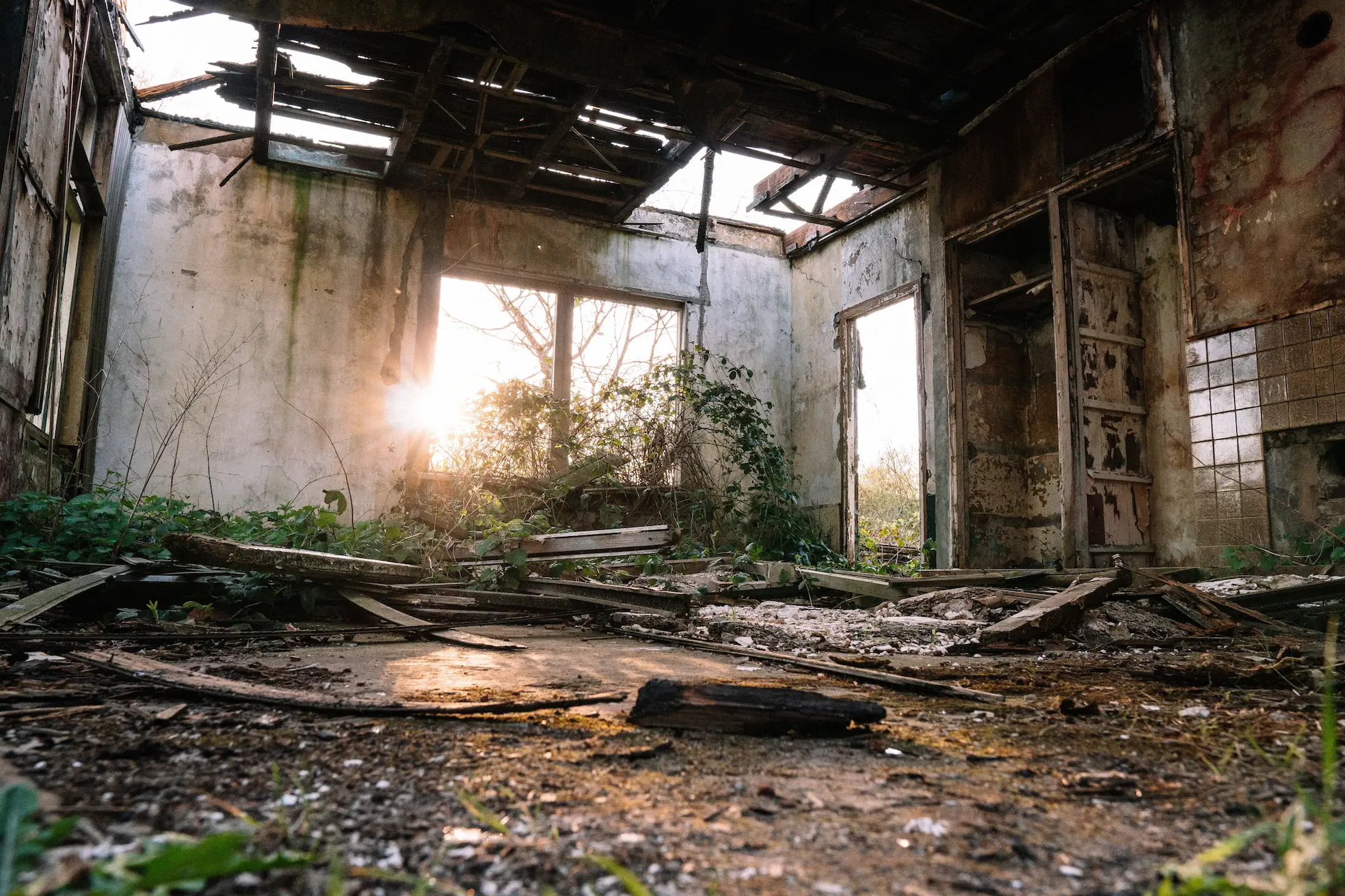 Sunlit interior of an abandoned building with a collapsed roof, exposed beams, and overgrown plants on the floor and walls.